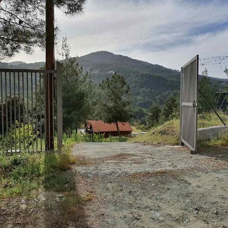 The Cosy Mountain Cabin With Stunning Views Near Troodos Kato Amiandos Exterior foto